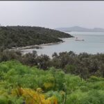 Milas Yakamoz Marina’ya Bir İptal Daha